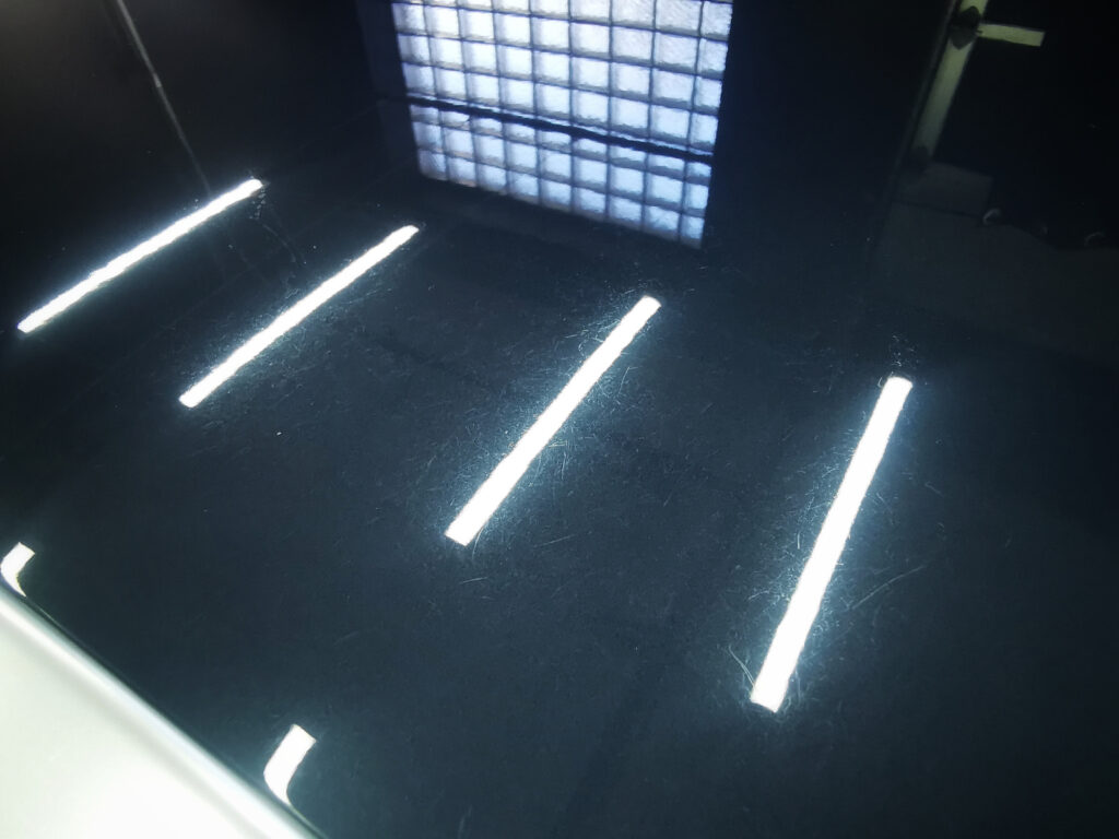 IMG_20220311_100628-01