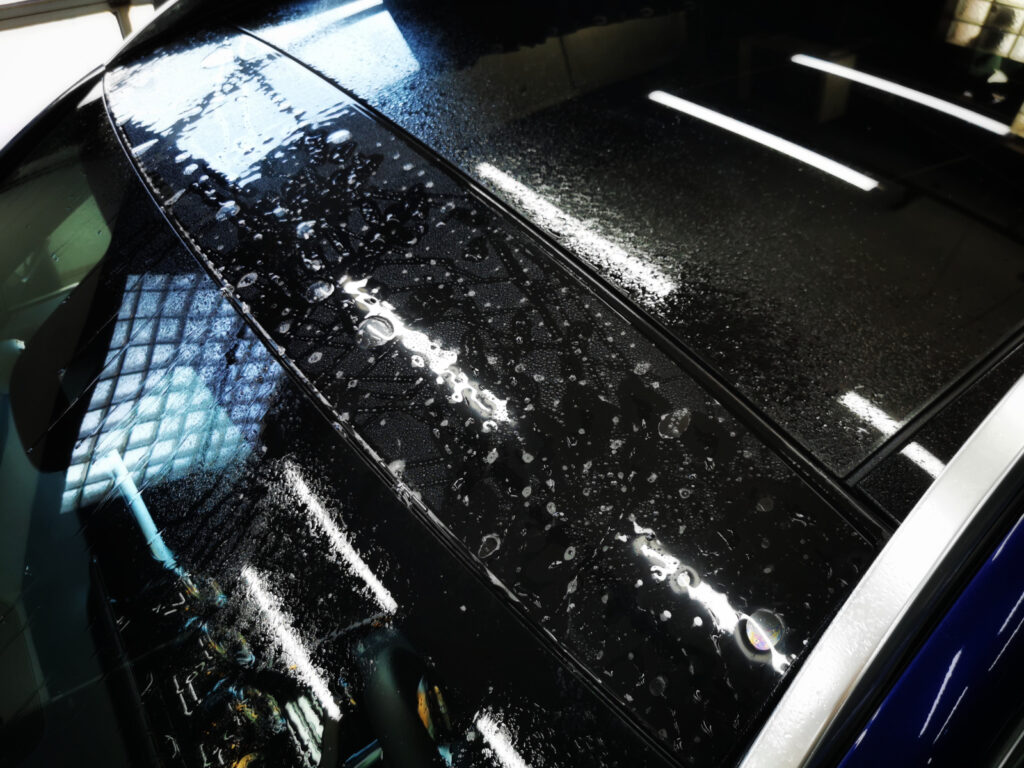 IMG_20220719_120239-01 IMG_20220719_120239-01