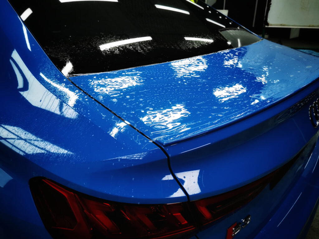 IMG_20230217_125019-01 IMG_20230217_125019-01